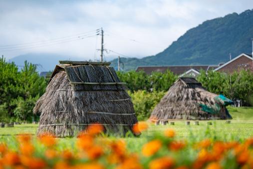 Iseking Munakata (Taguma Ishihatake Ruins)