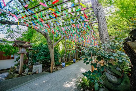 Furin (wind charms) Festival at Nyoirinji Temple 10