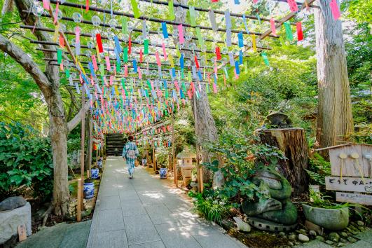 Furin (wind charms) Festival at Nyoirinji Temple 11