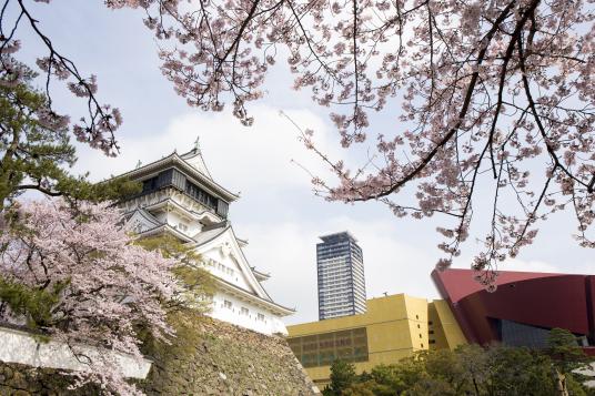 Kokura Castle (Cherry Blossoms)02