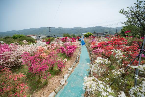 구루메 세계 쓰쓰지(철축) 센터 02