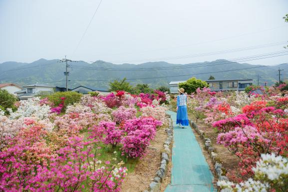 구루메 세계 쓰쓰지(철축) 센터 11