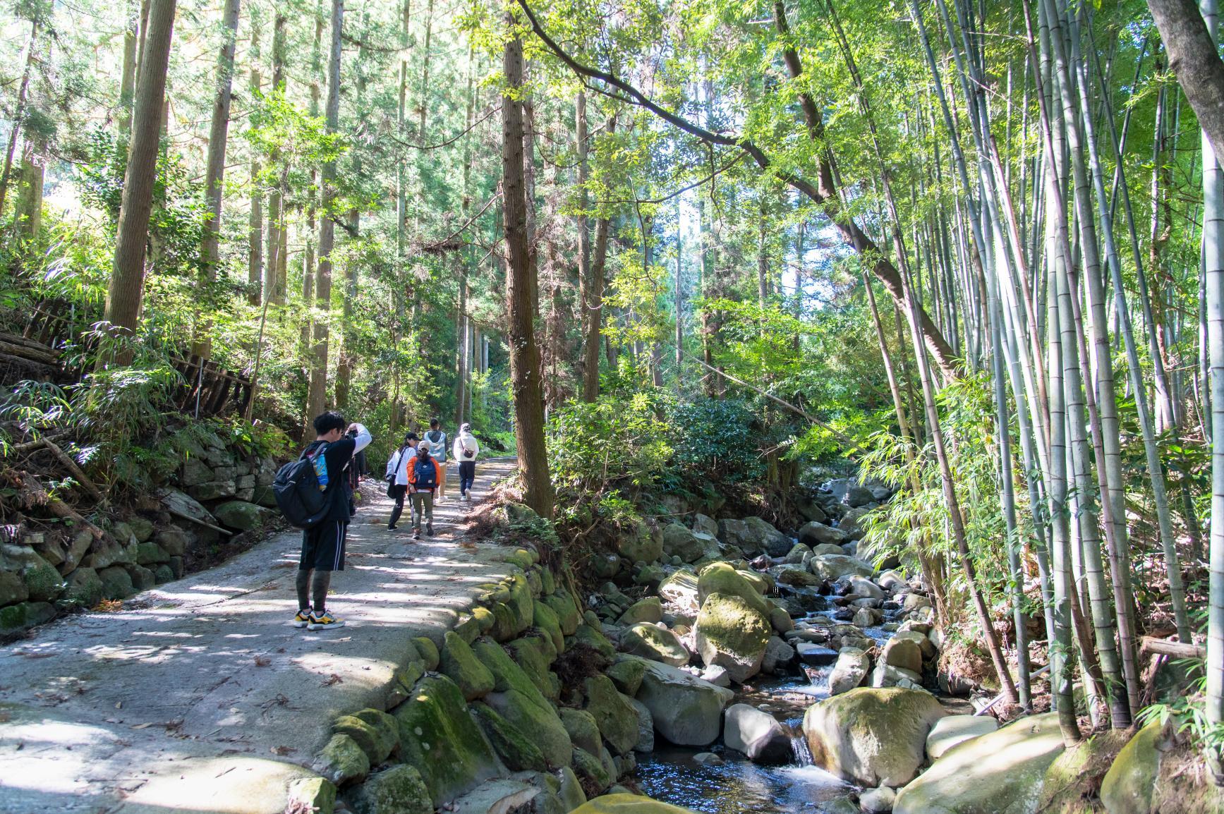 Walking Trail at the Headwaters of the Geise