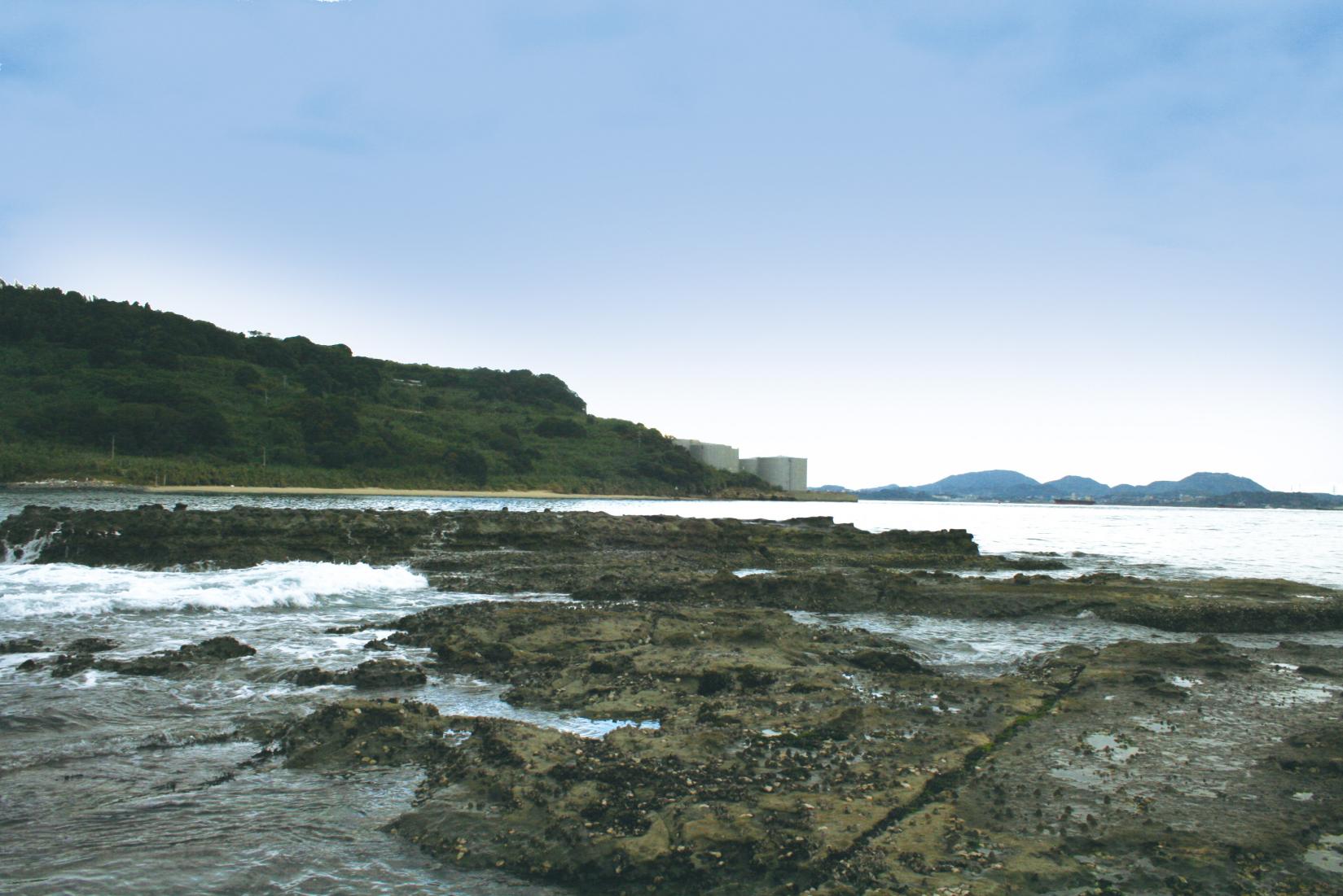 朝日が見える海岸