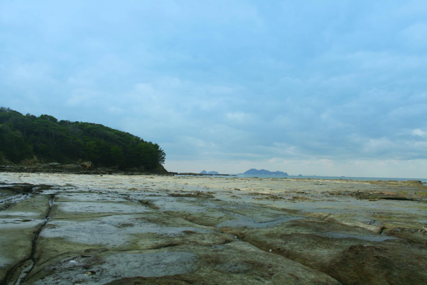 千畳敷　貝島