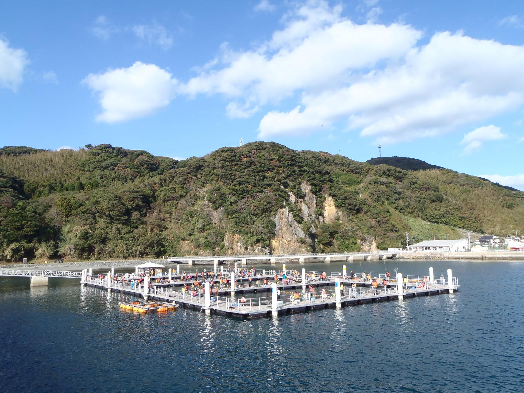 うみんぐ大島