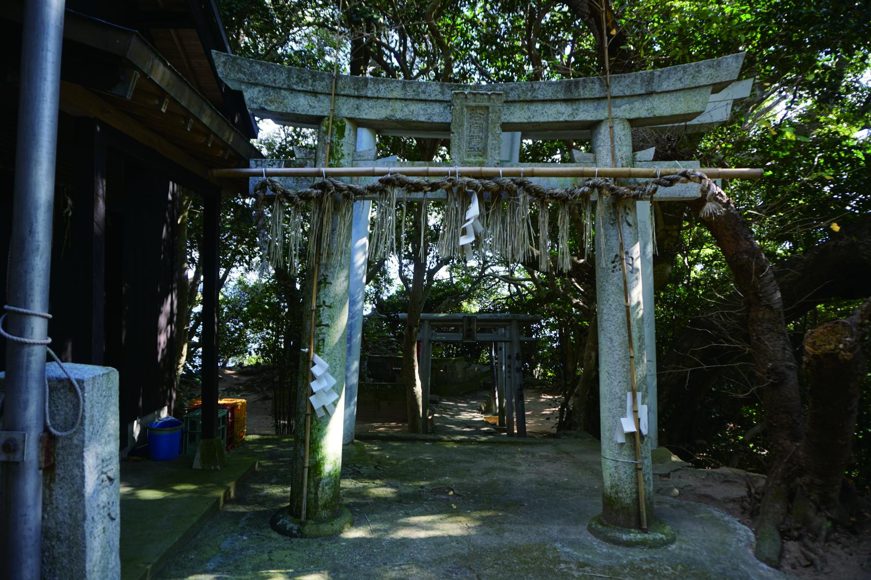 小鷹神社（こだかじんじゃ）