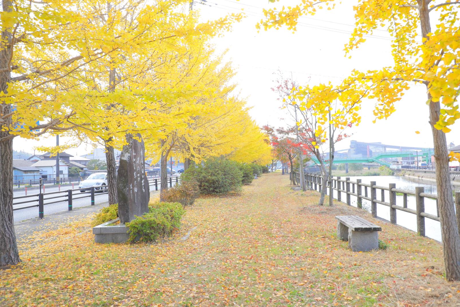 山頭火遊歩道