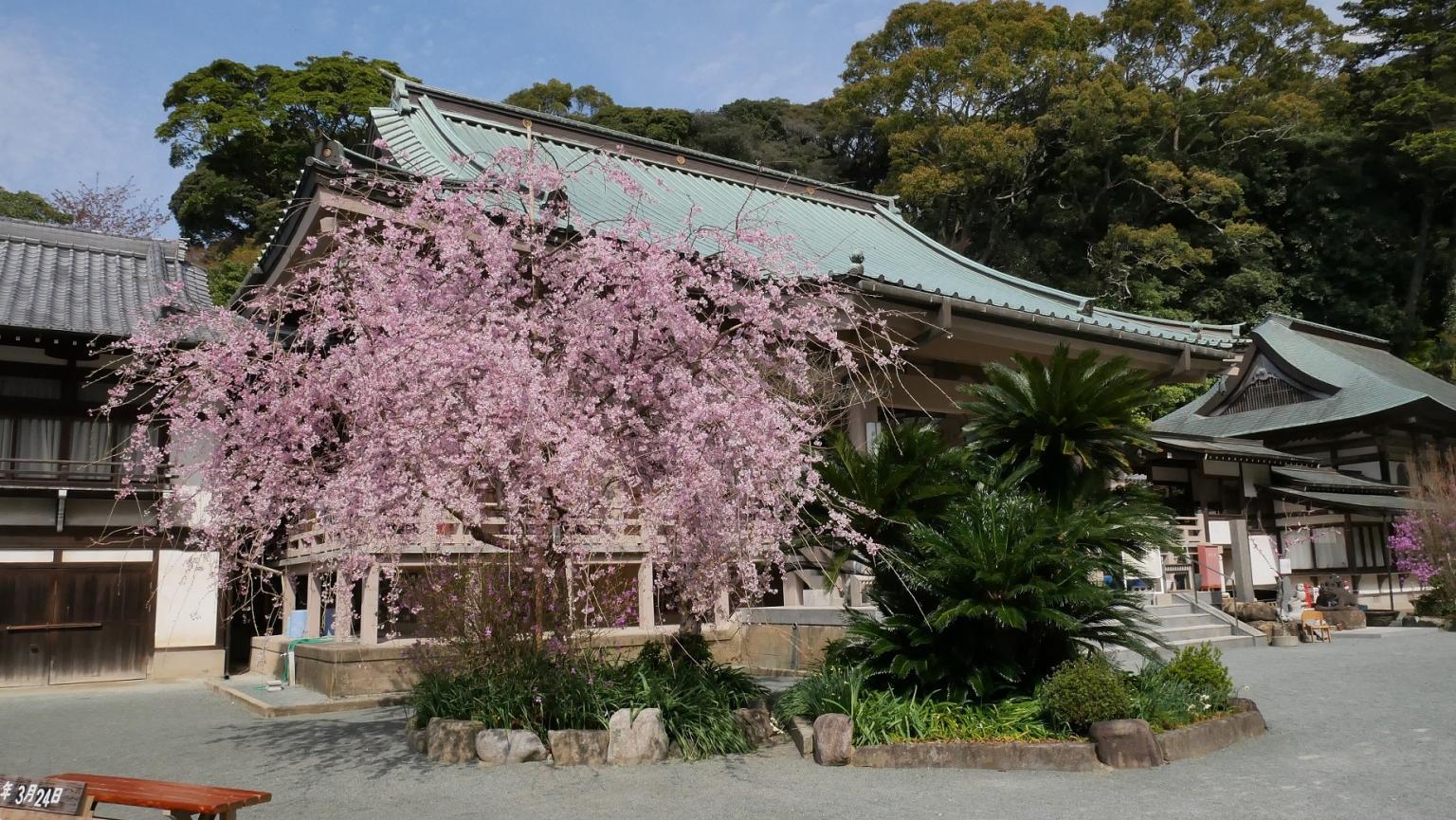 鎮国寺