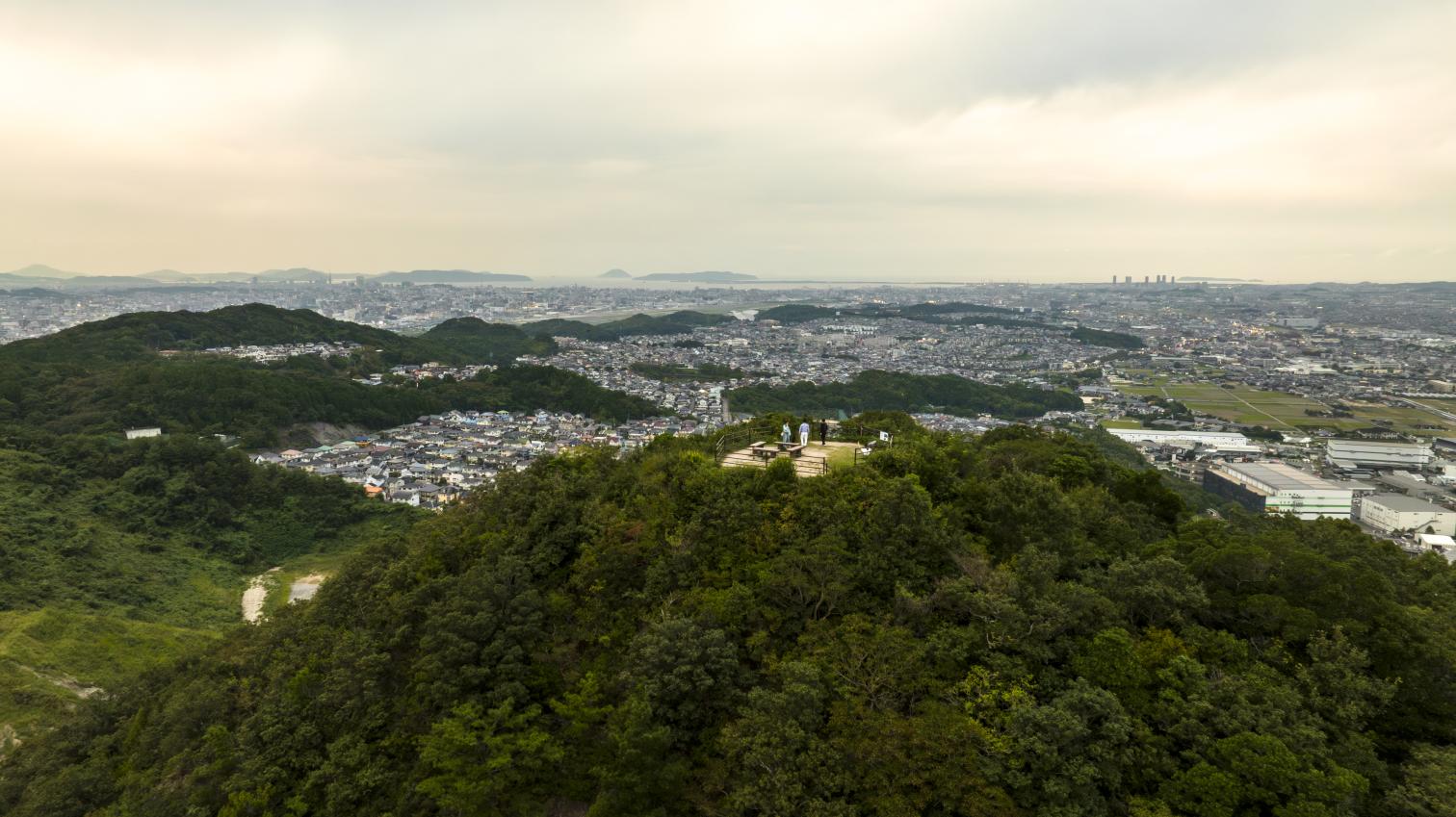 井野山（ハイキング）