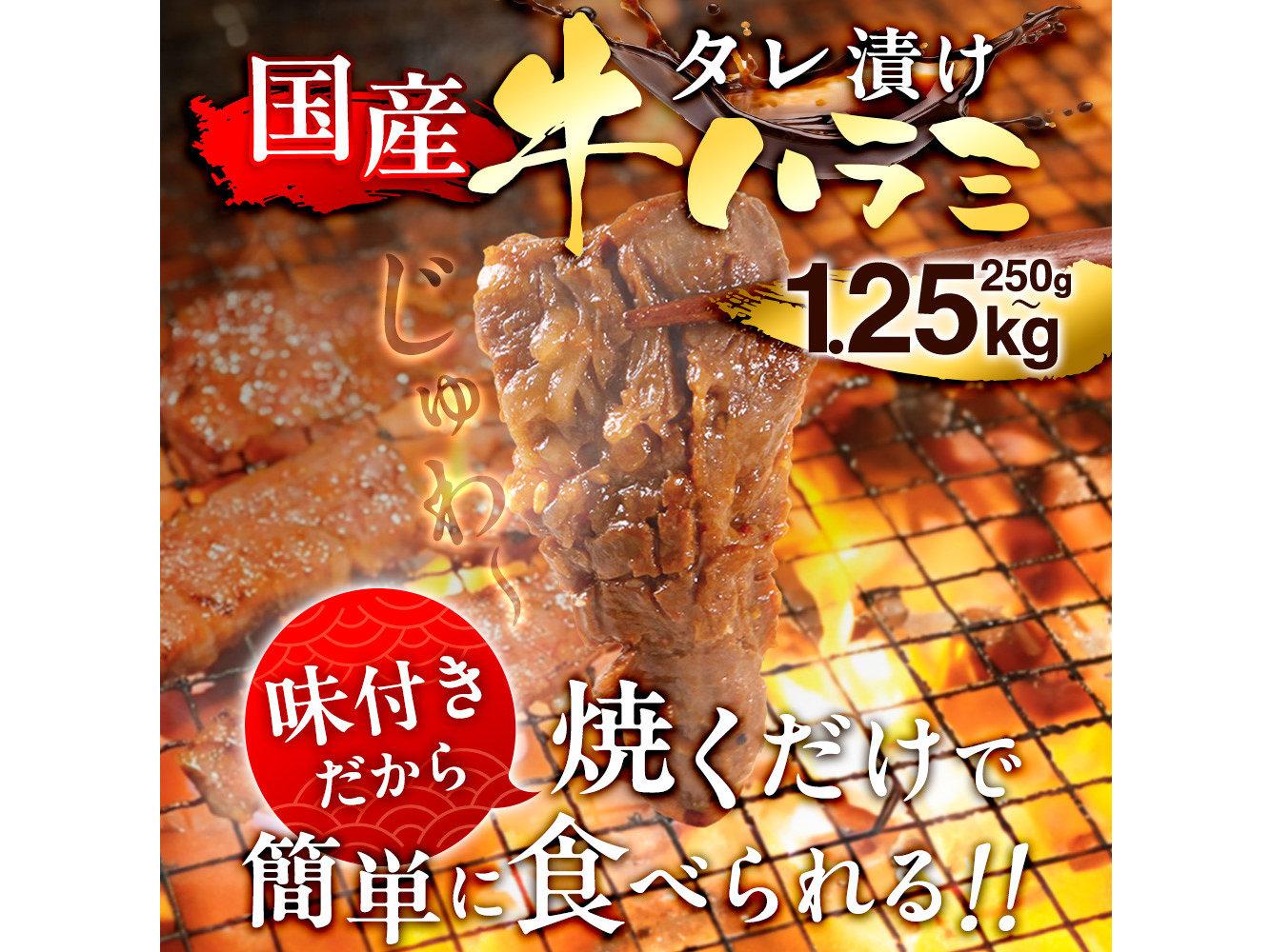 国産 特製たれ漬 牛ハラミ サガリ