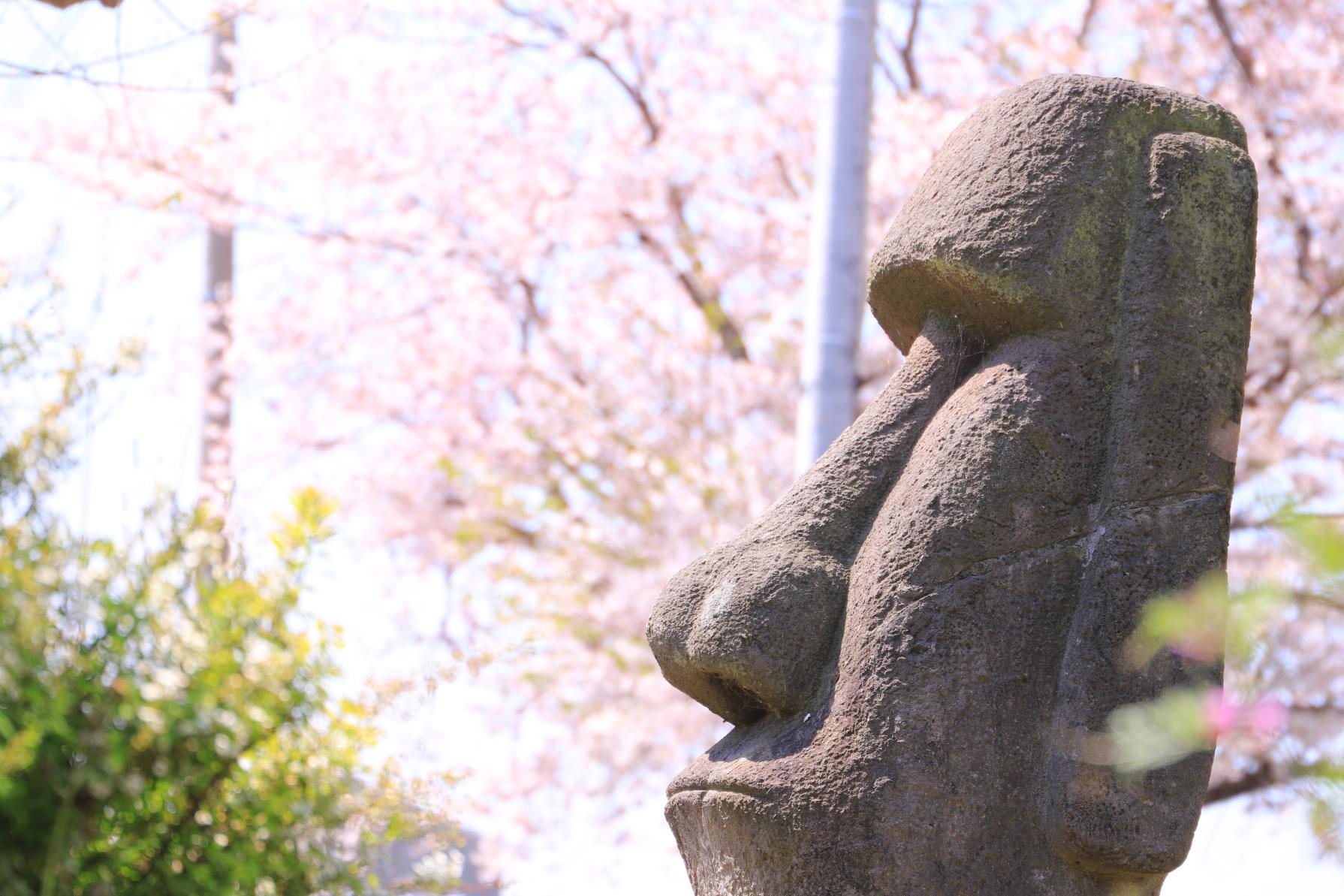 屋根のない博物館