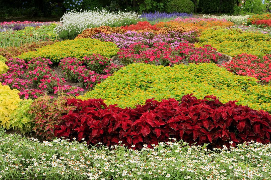 福智山ろく花公園