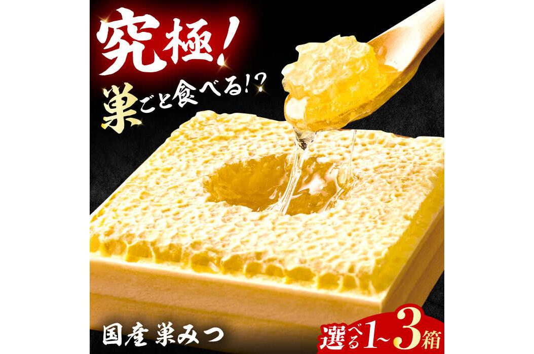 ハチの巣ごと味わうハチミツ！「国産巣蜜（みつ）」