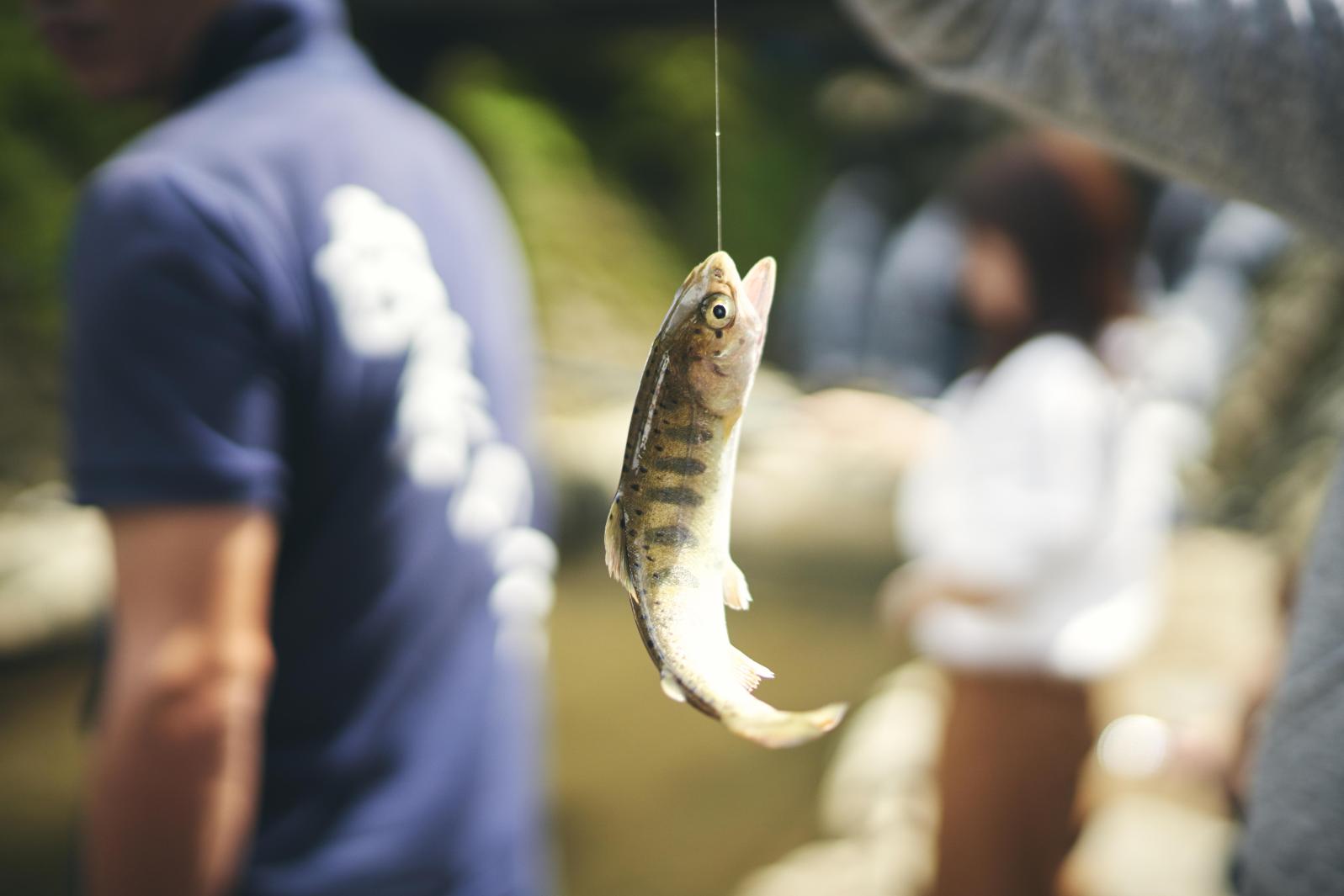 ヤマメ釣り