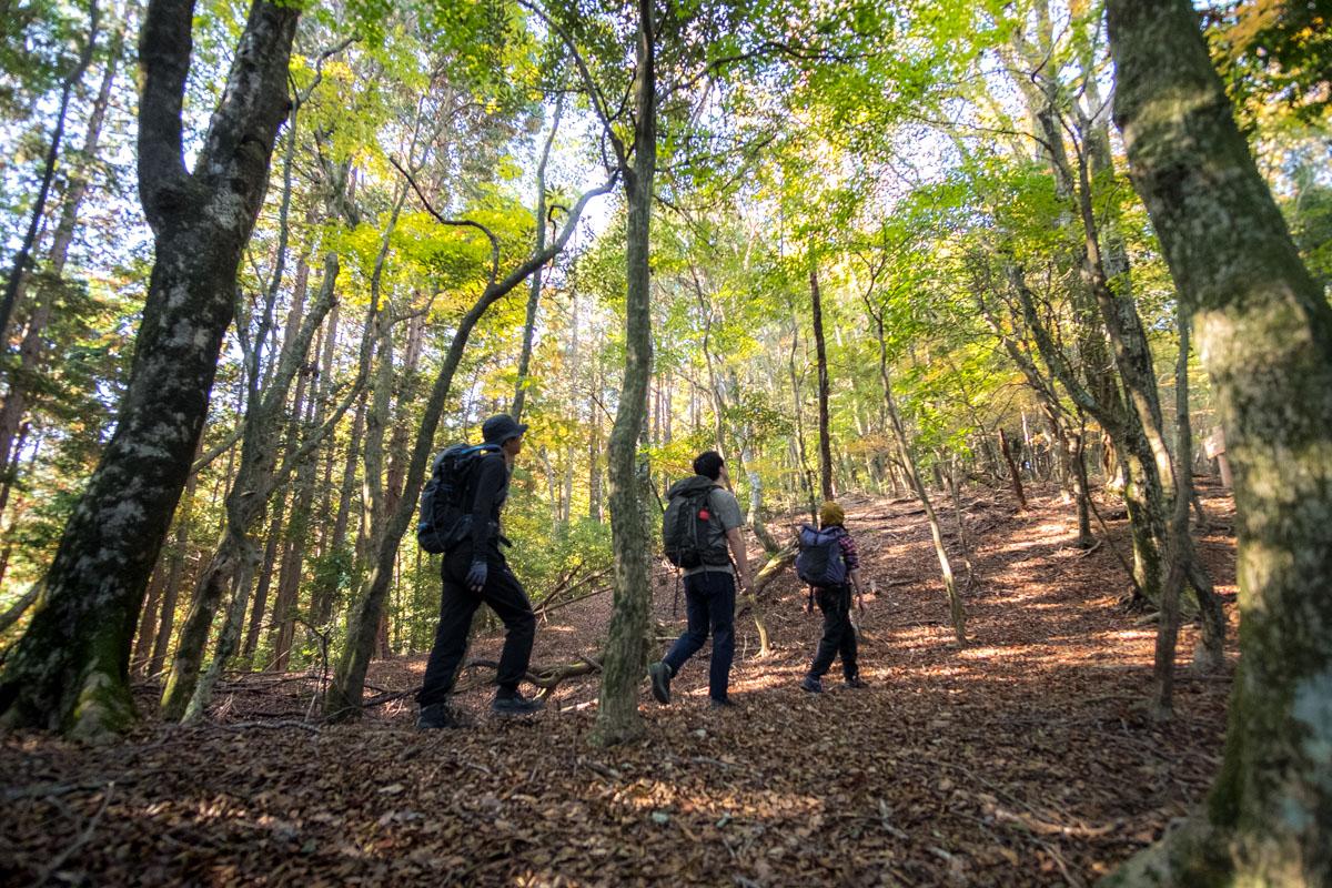 Kodokoro Trail: A Longer Hike in Fukuoka-0