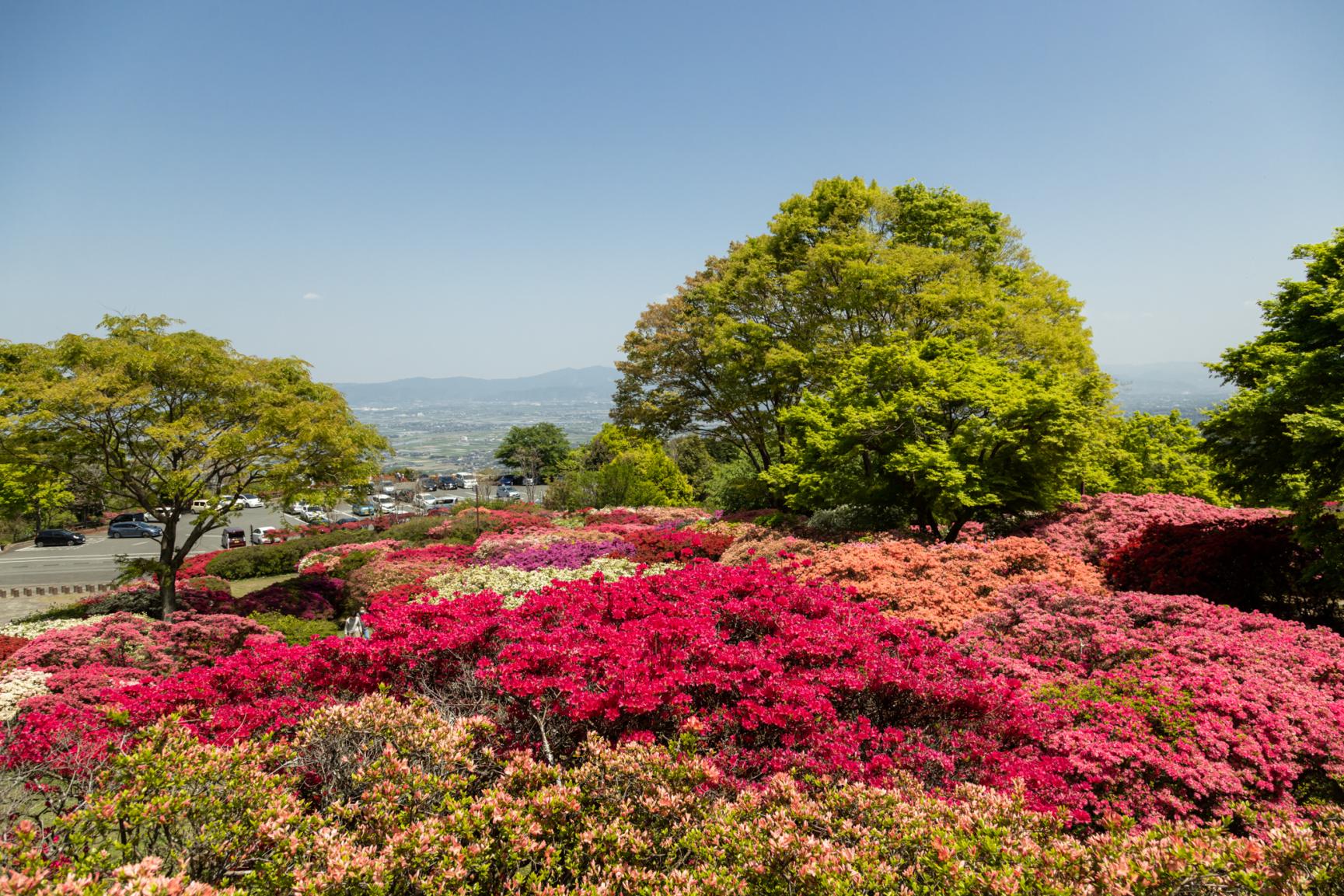 久留米・高良山コース-1