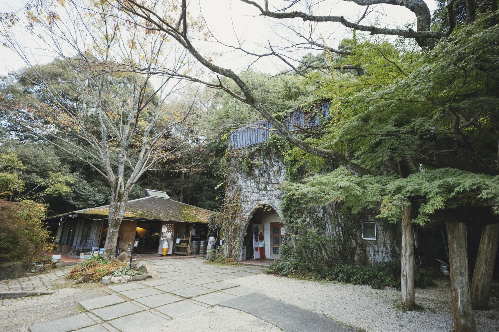 巨峰開植のまちのワイナリー「巨峰ワイナリー」-2