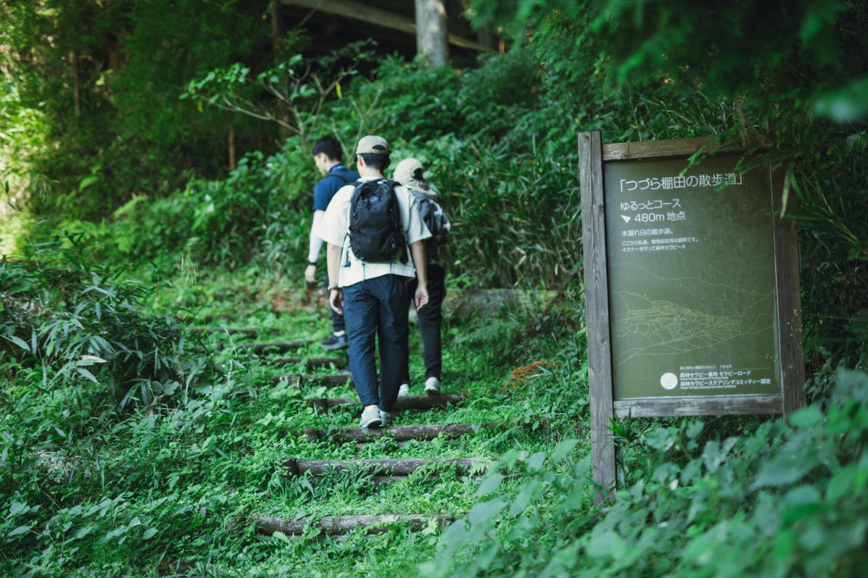 つづら棚田の散歩道コース-0