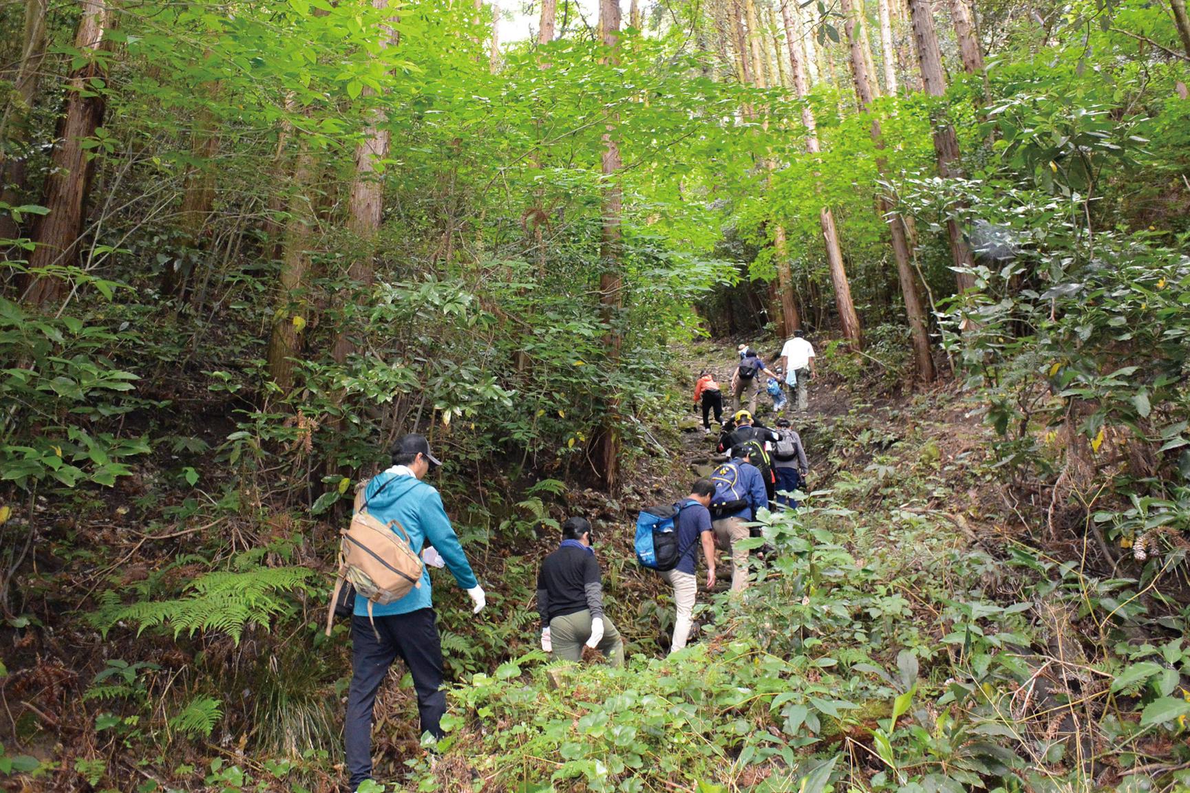 若宮市・直方市【六ヶ岳（むつがたけ）】-0