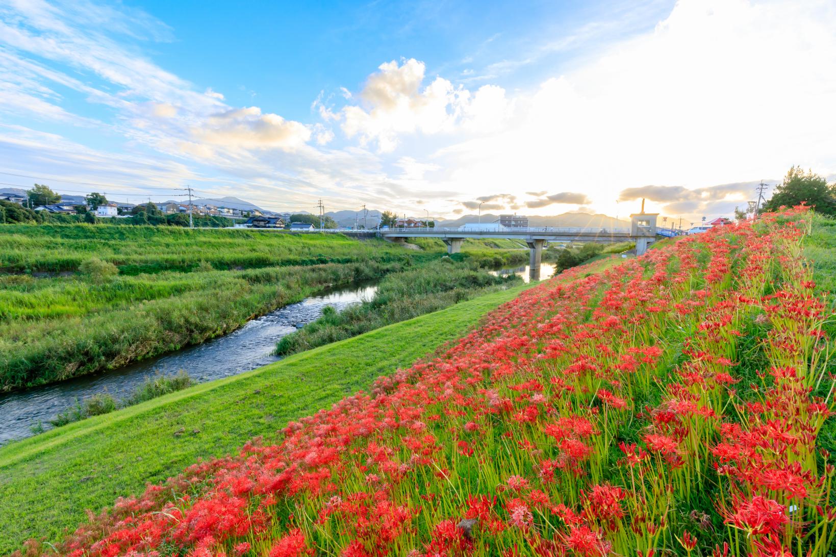 犬鳴川河川公園（宮若市）-1