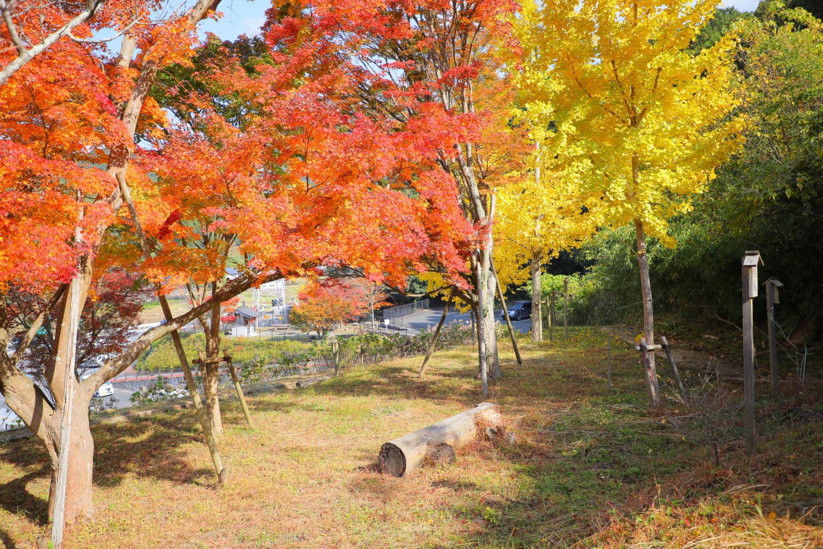 香春町ってどんなところ？-5