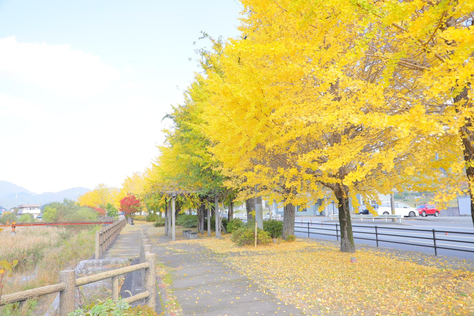 香春町ってどんなところ？-6