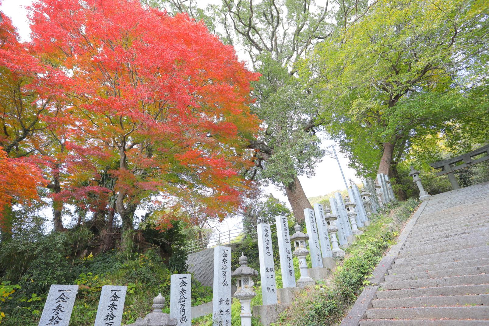 ＜香春町での楽しみ方➀＞自然と歴史が調和する美しい風景-3