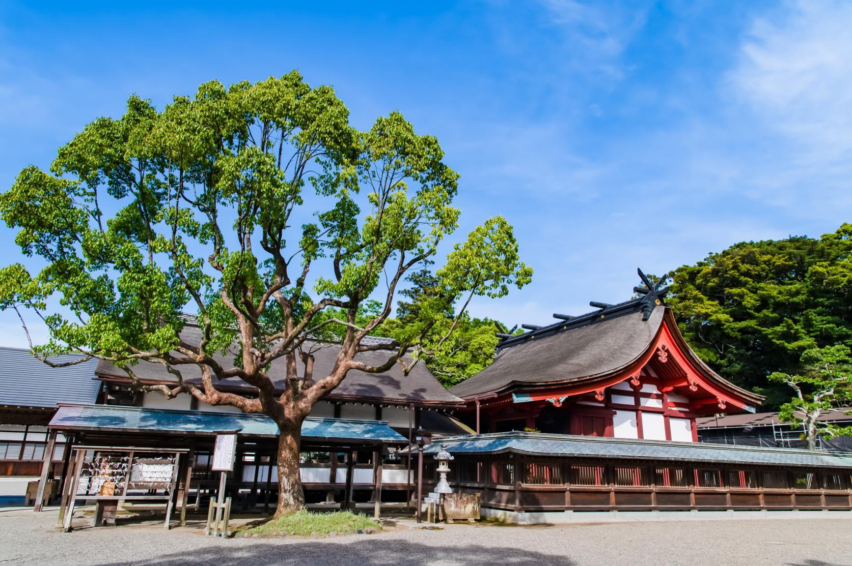 ＜宗像市での楽しみ方②＞歴史深い”神のまち”で、心静かに神社仏閣めぐり-0