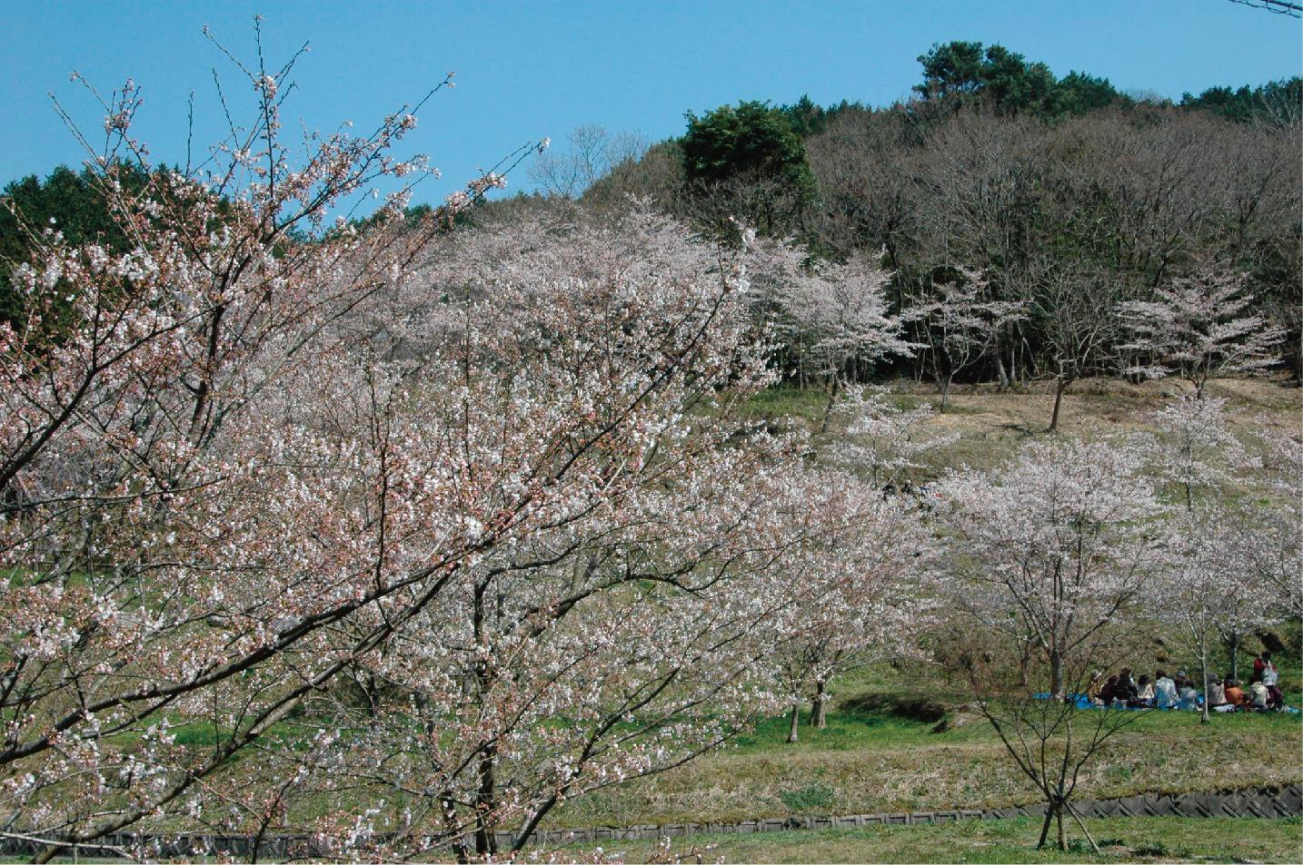 大野城市ってどんなところ？-3