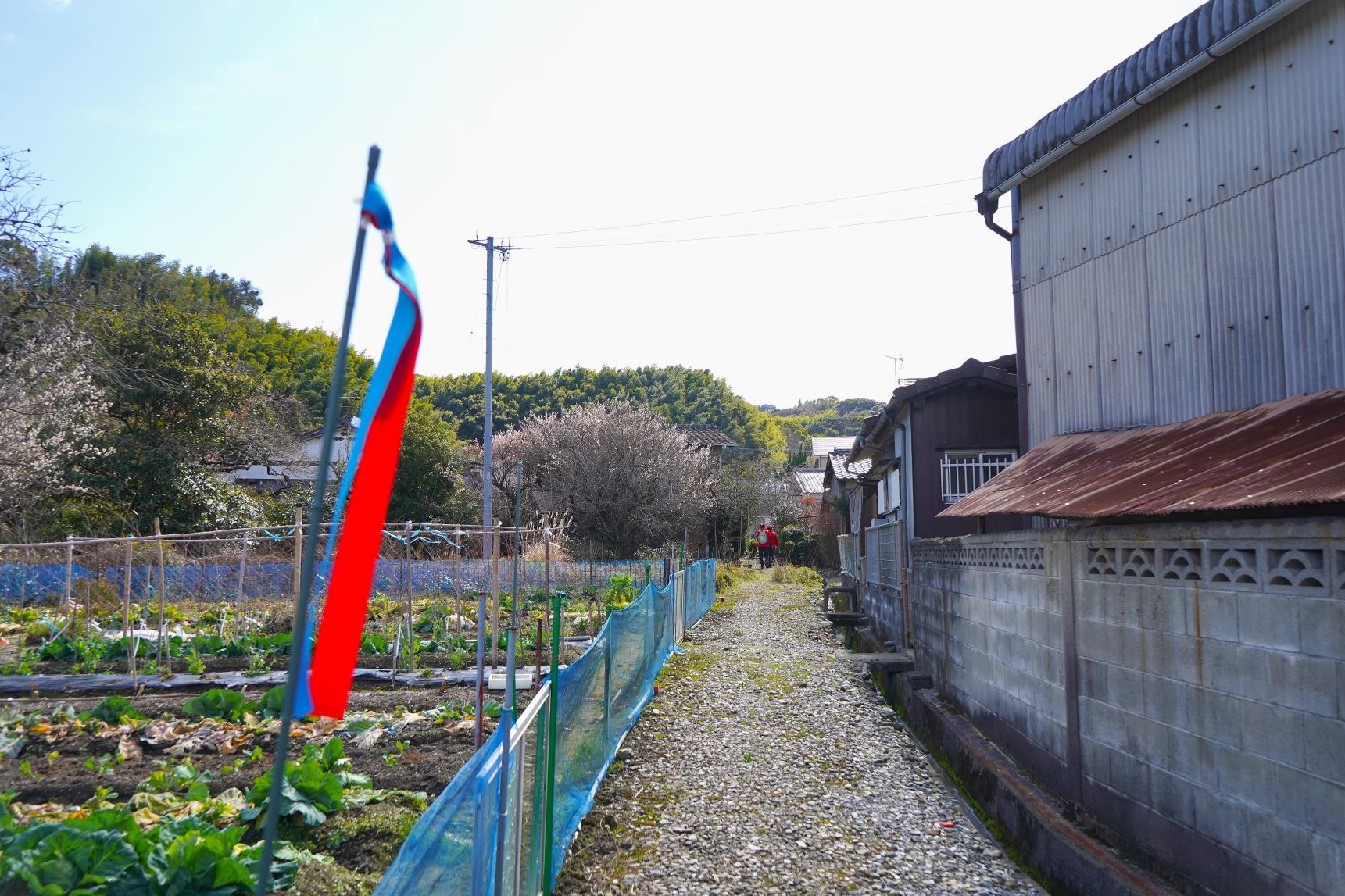 三山・清水山路線-2