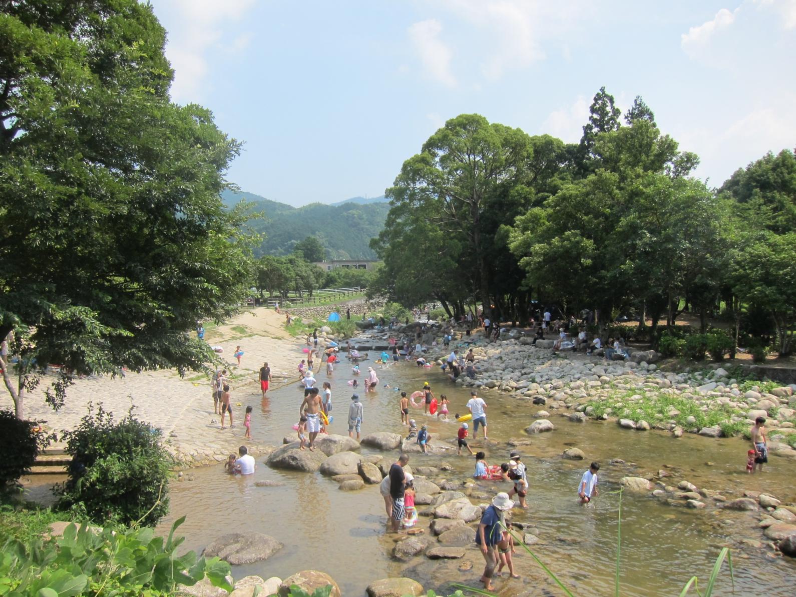 ＜那珂川市での楽しみ方②＞四季折々の自然と那珂川の恵みを楽しもう-0