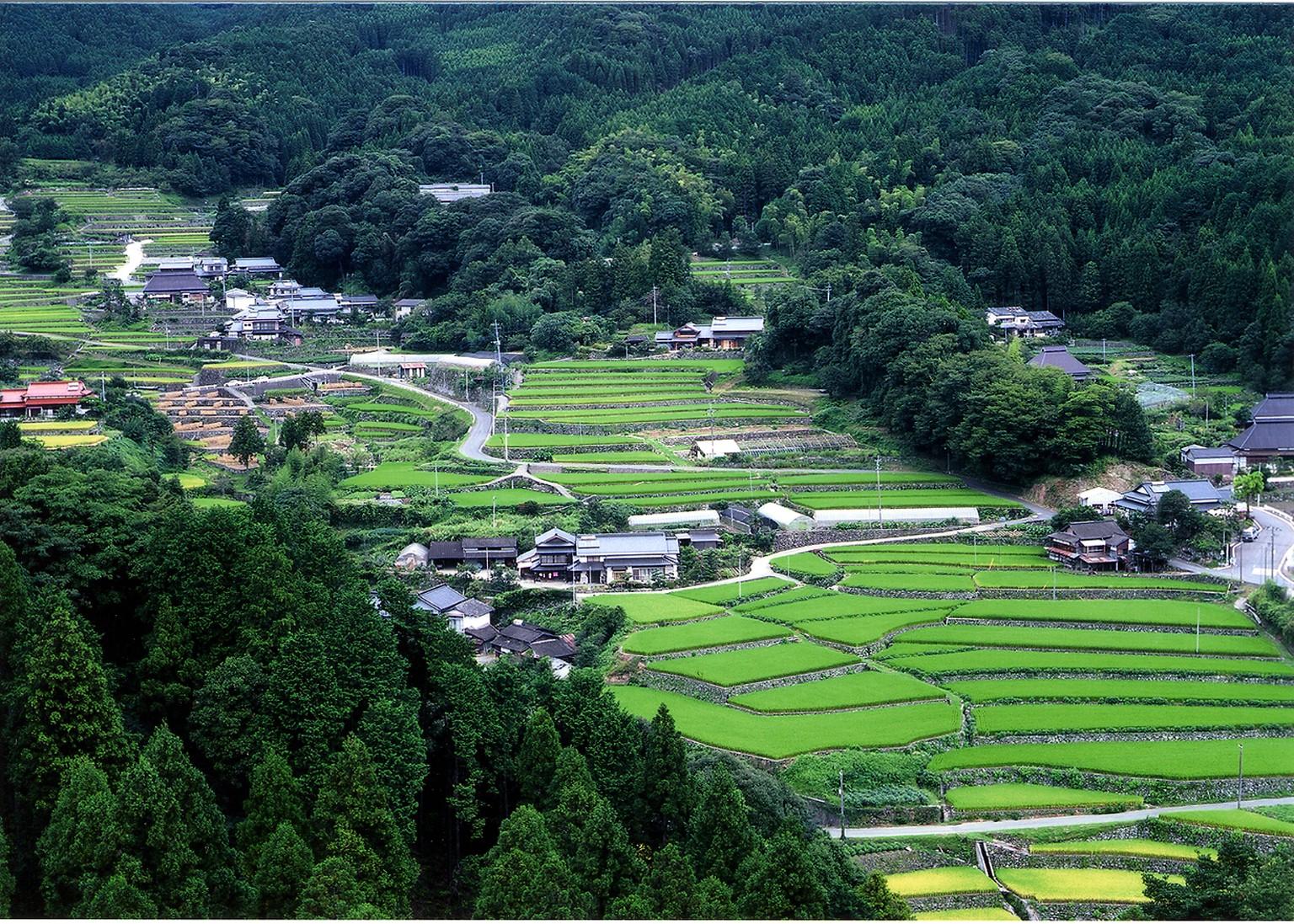 ＜東峰村での楽しみ方➀＞四季折々の美しさが織りなす棚田の絶景-0