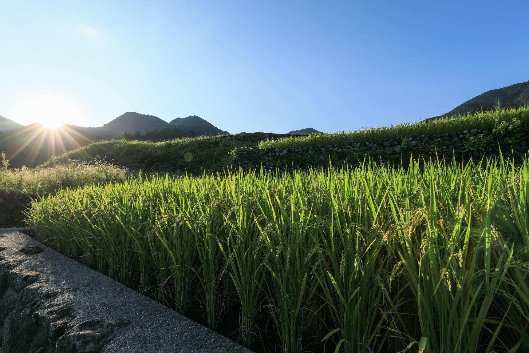 ＜東峰村での楽しみ方②＞懐かしさや安らぎを感じる土地-0