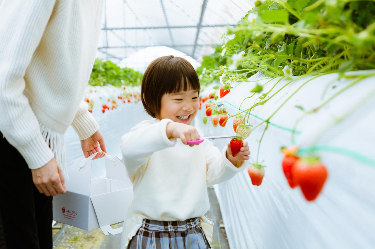 ＜久留米市での楽しみ方②＞四季を彩る美しい花々と旬のフルーツを満喫-0