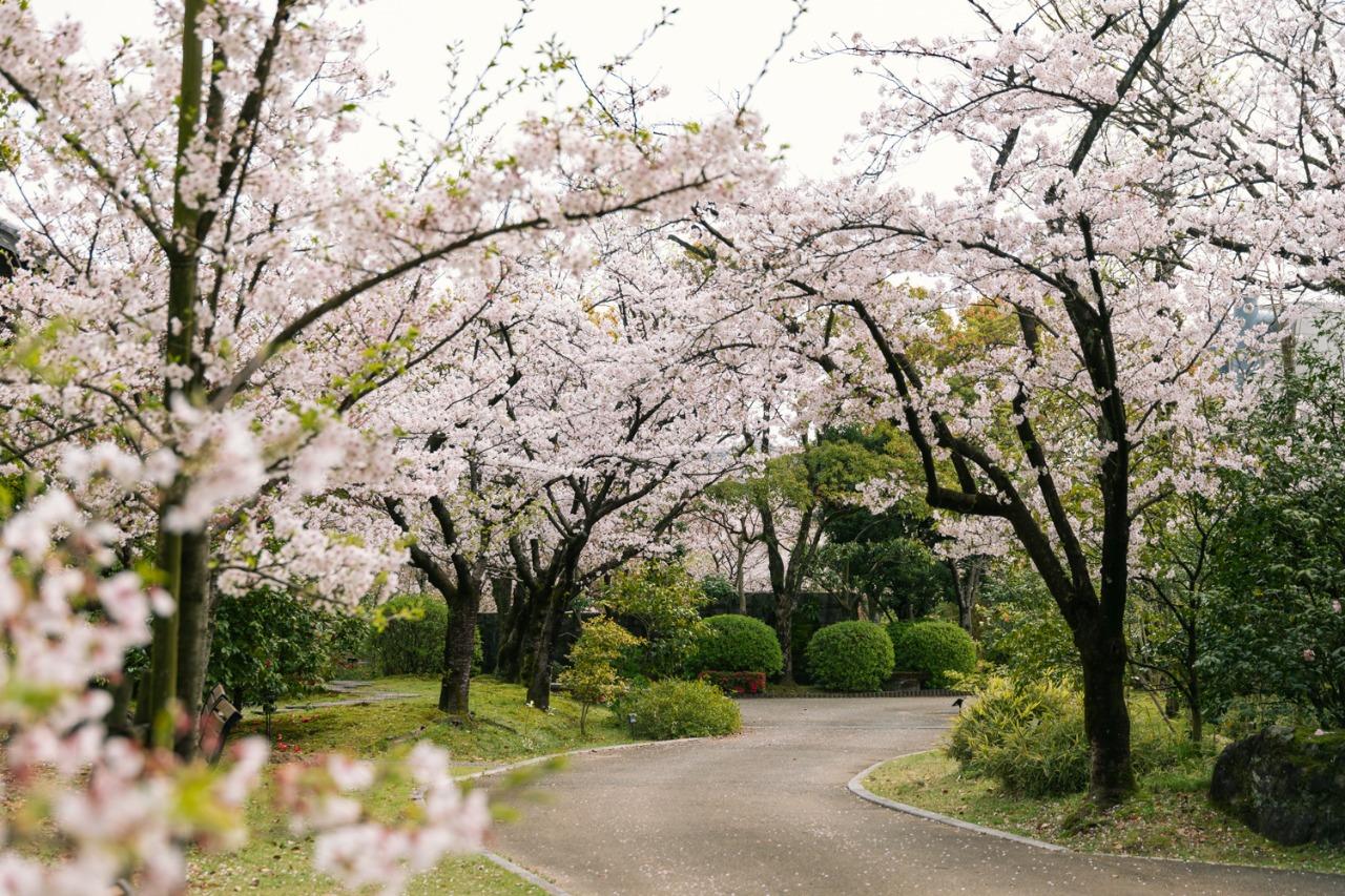 ＜久留米市での楽しみ方②＞四季を彩る美しい花々と旬のフルーツを満喫-2