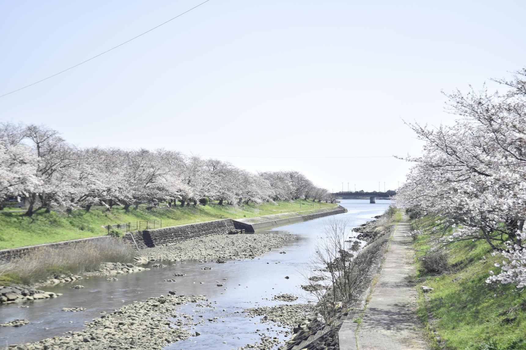 ＜築上町での楽しみ方②＞四季折々の自然を楽しむ-1