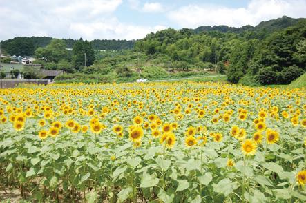 ＜嘉麻市での楽しみ方②＞未来に受け継ぐ「遠賀川」と「嘉穂アルプス」の恵み-2