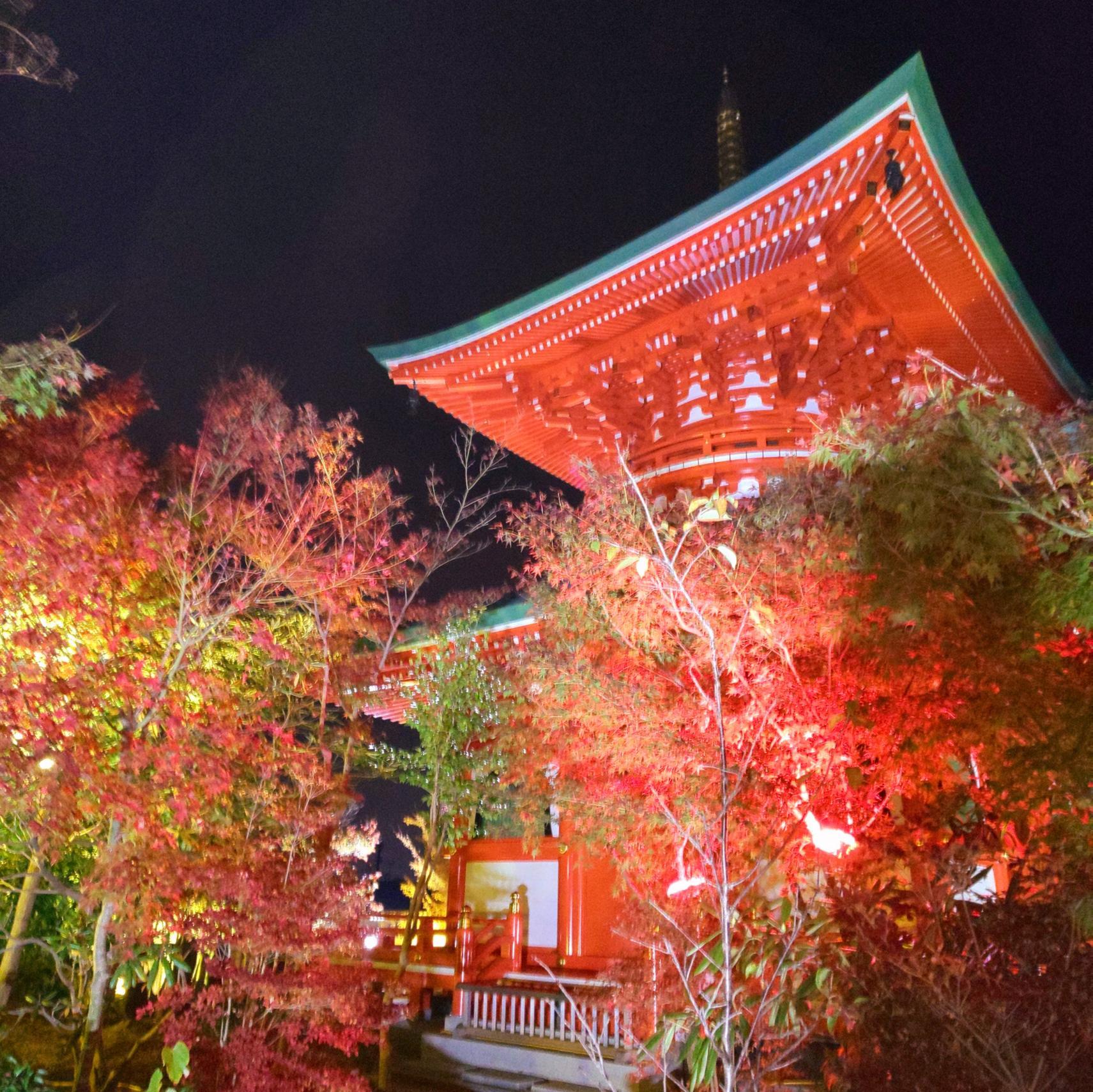 ＜小郡市での楽しみ方②＞いつ訪れても楽しめる！四季を感じる風景やイベント満載-7