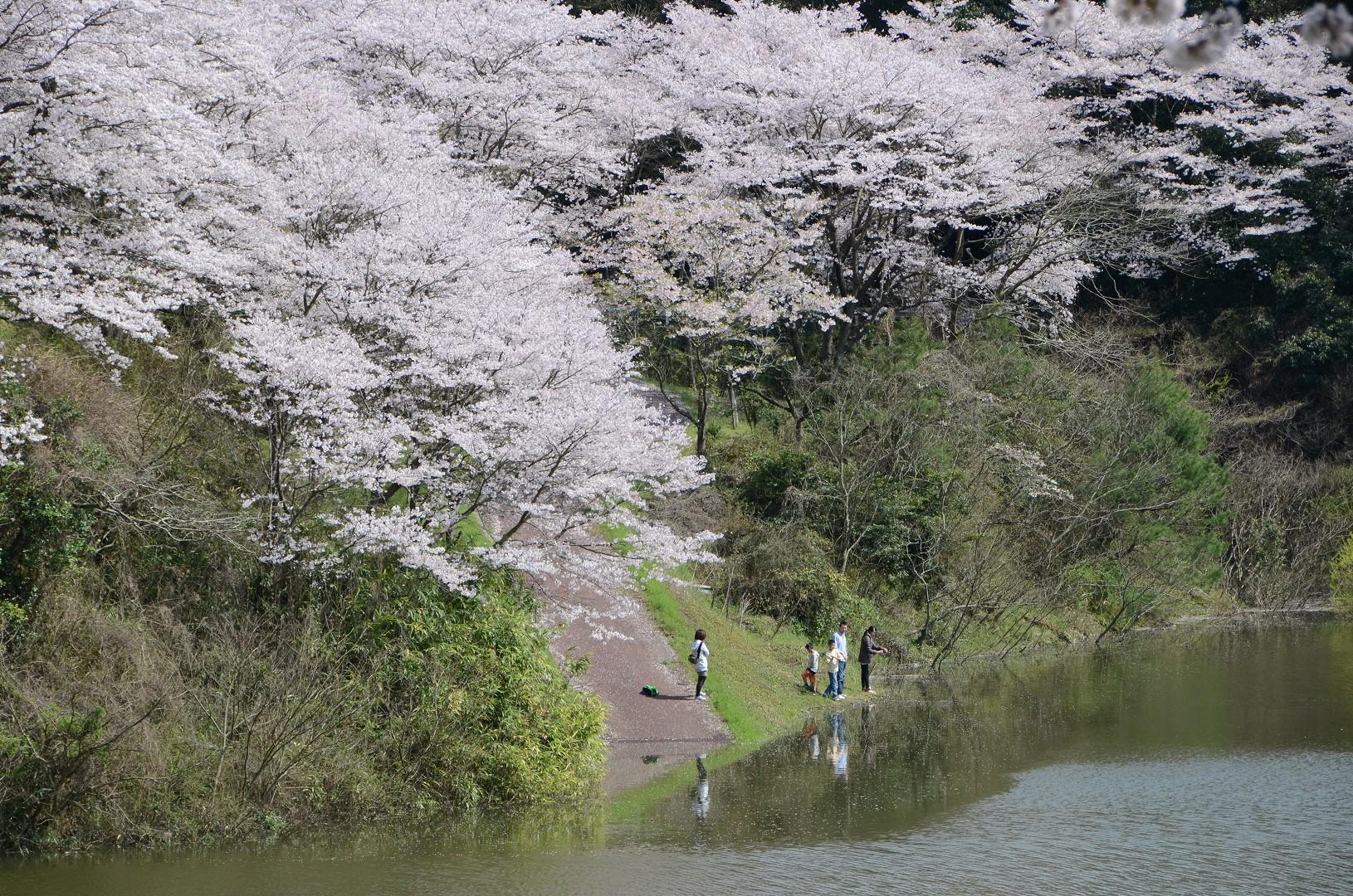 広川町ってどんなところ？-6