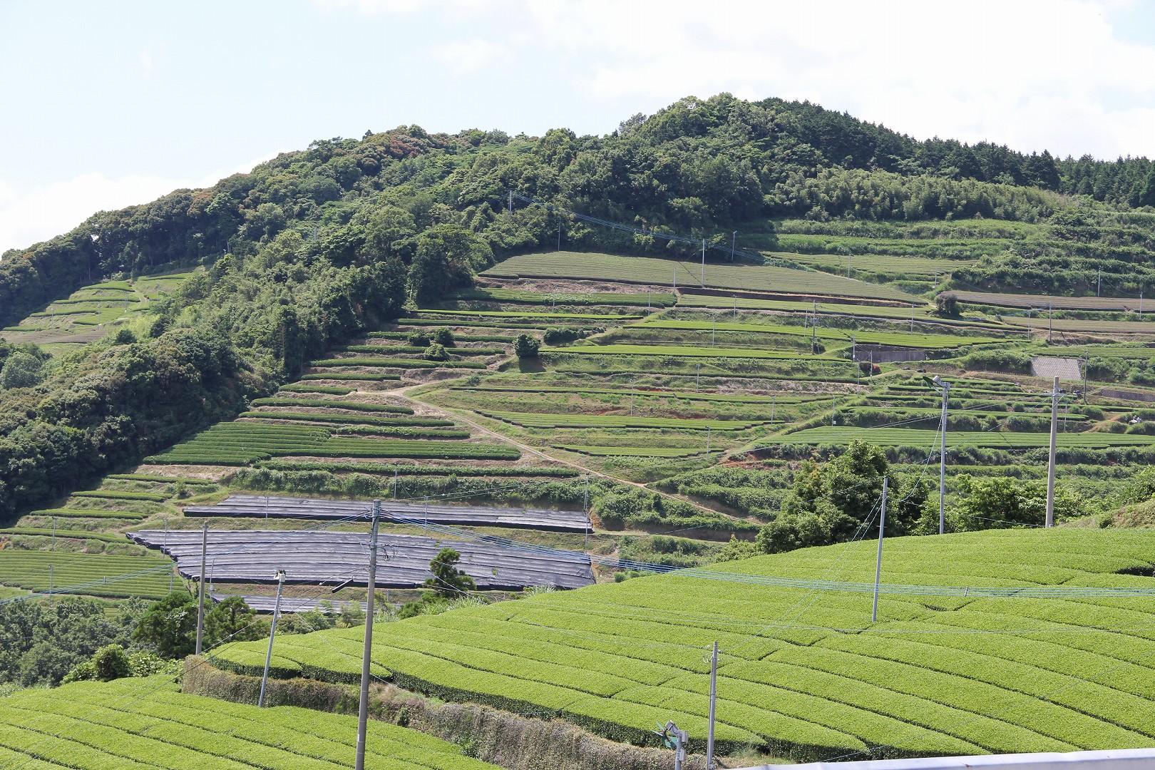 広川町ってどんなところ？-0