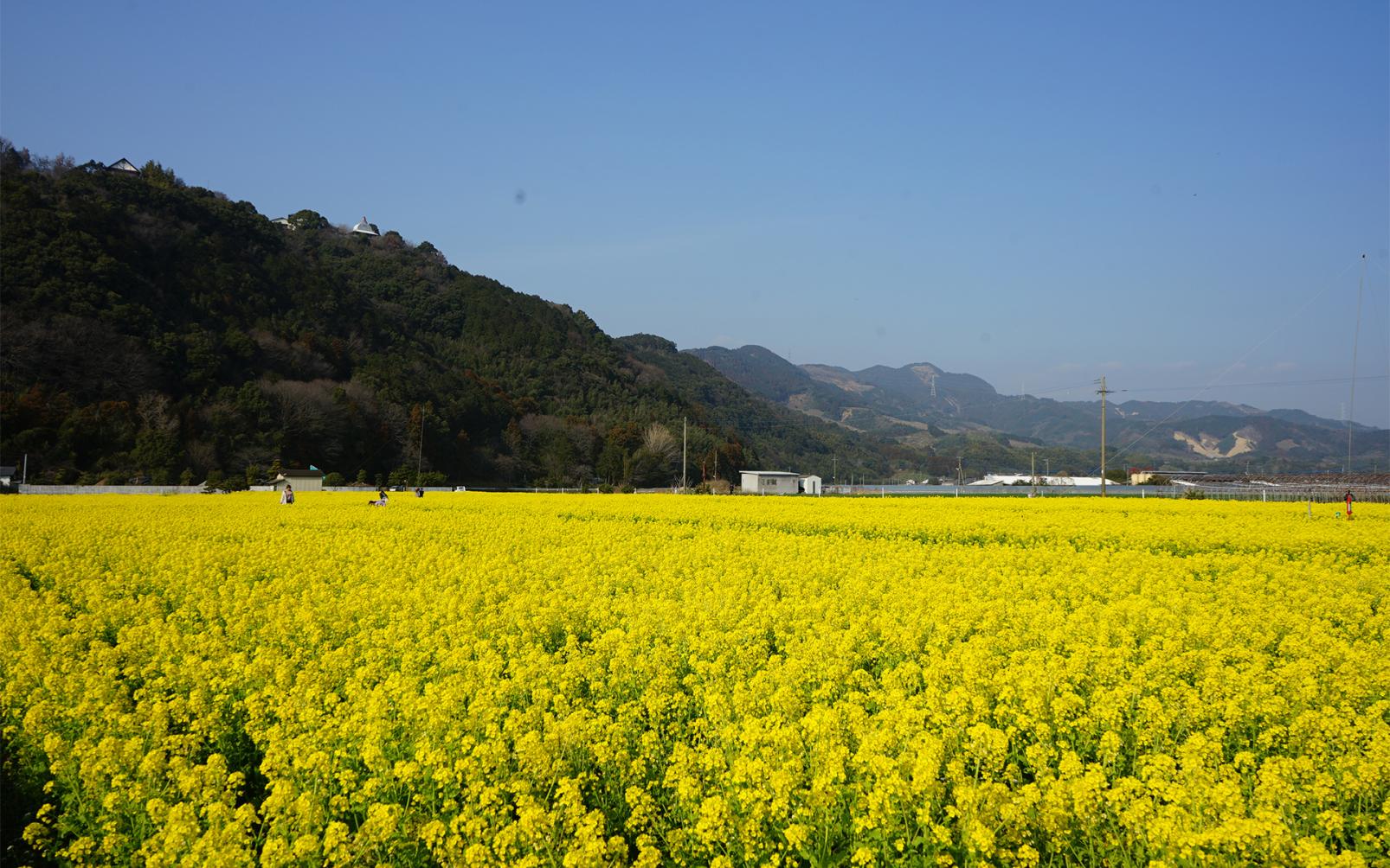 朝倉市ってどんなところ？-1