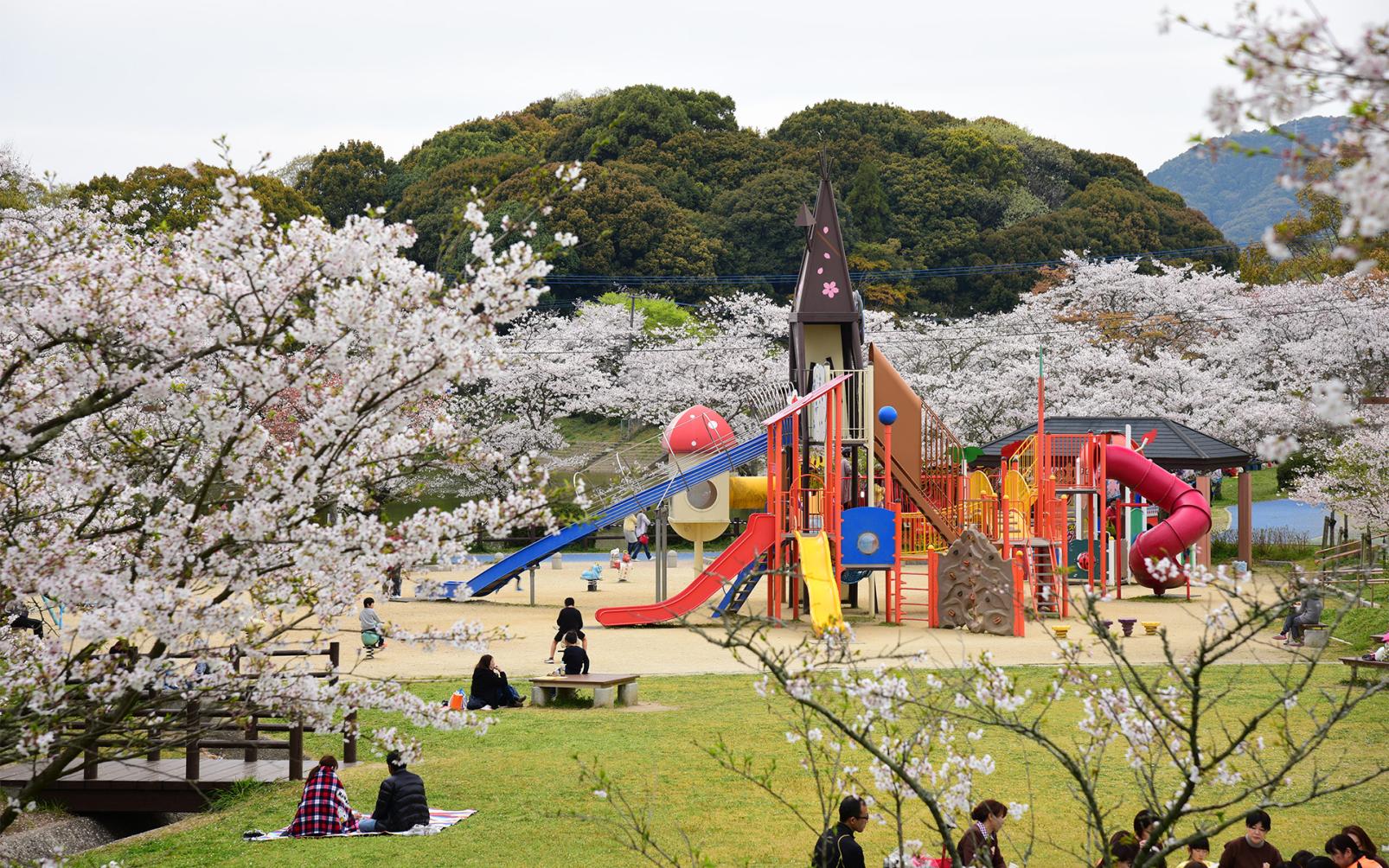 朝倉市ってどんなところ？-3