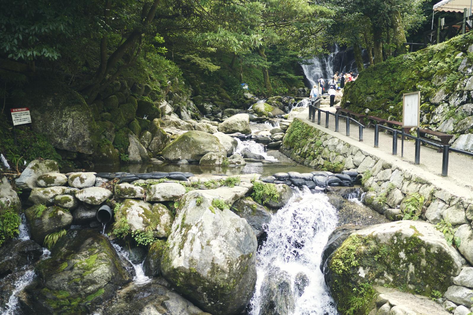 糸島市ってどんなところ？-6