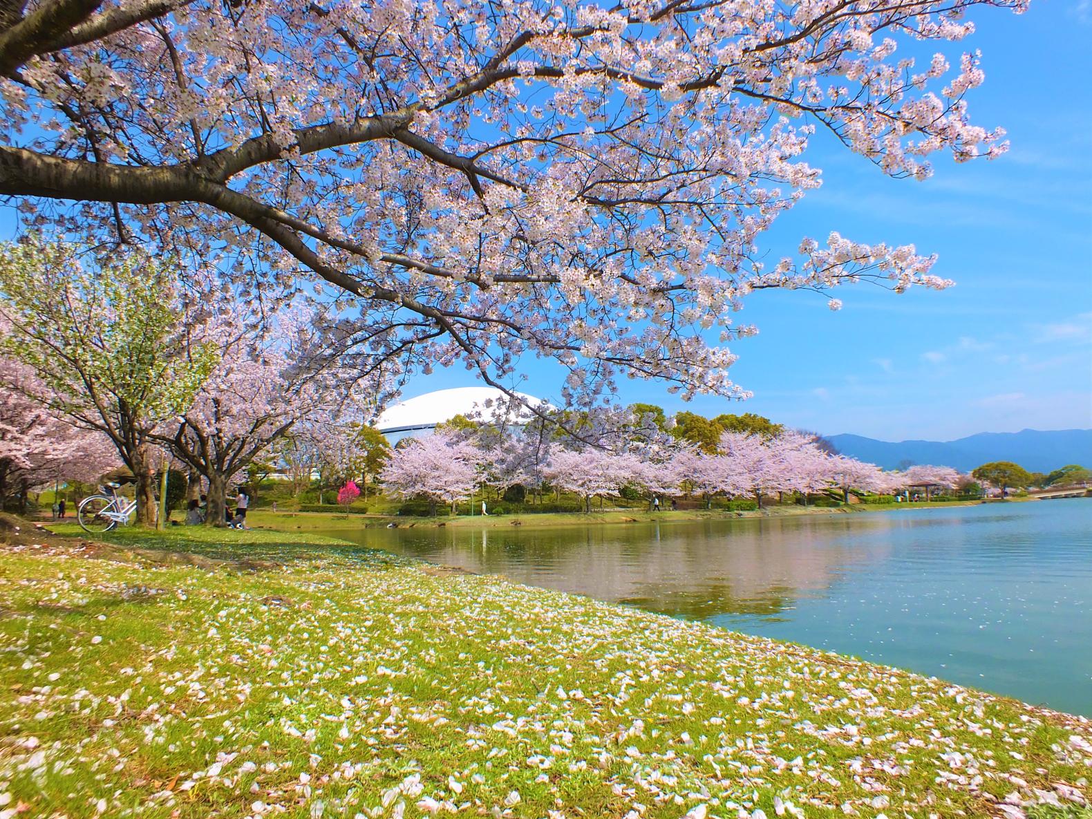 ＜粕屋町での楽しみ方＞四季を彩る自然が楽しめるフォトスポット-0