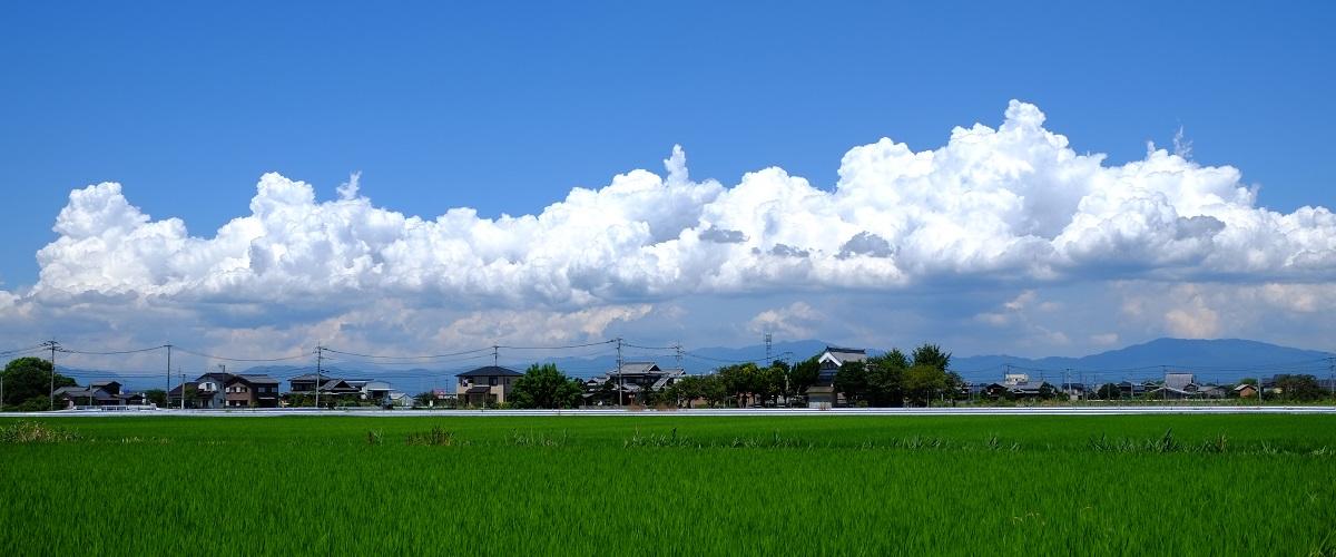 大木町観光ガイド【筑後エリア】-1