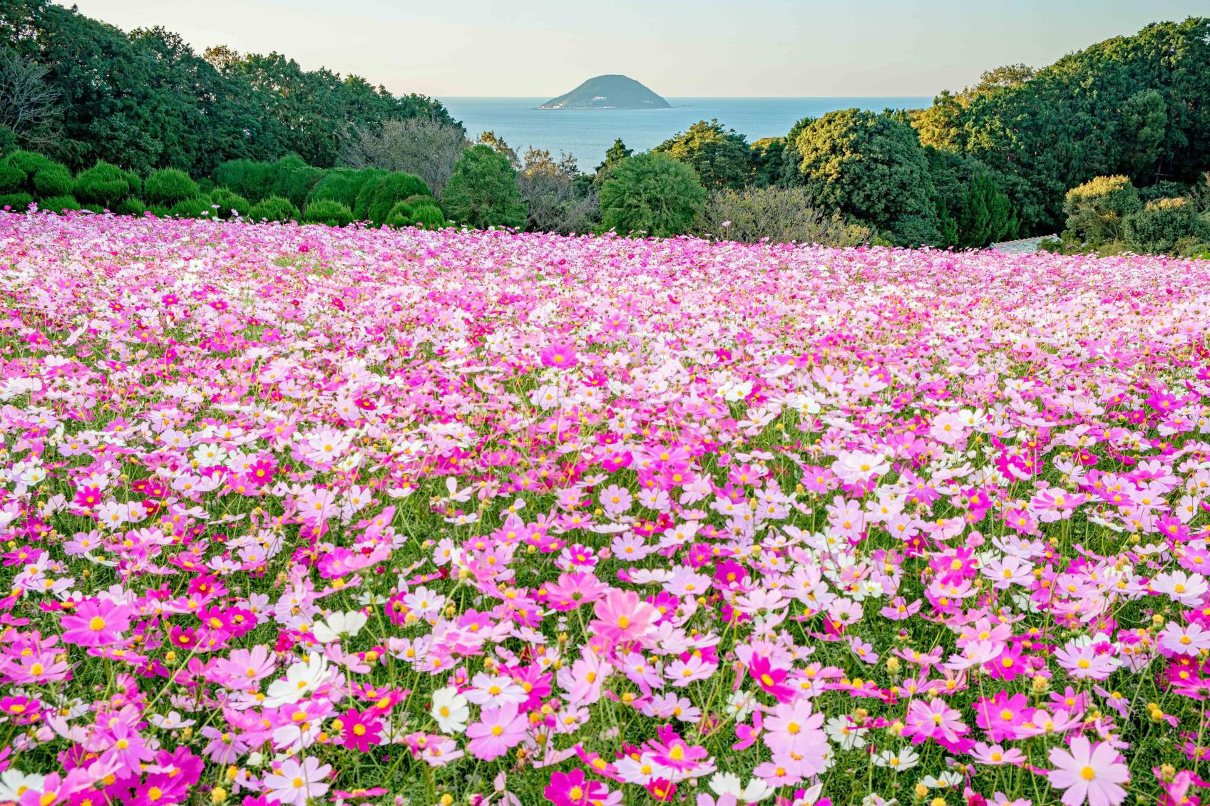 【2024】福岡県内10月の主要観光イベント・祭り・おでかけスポットまとめ