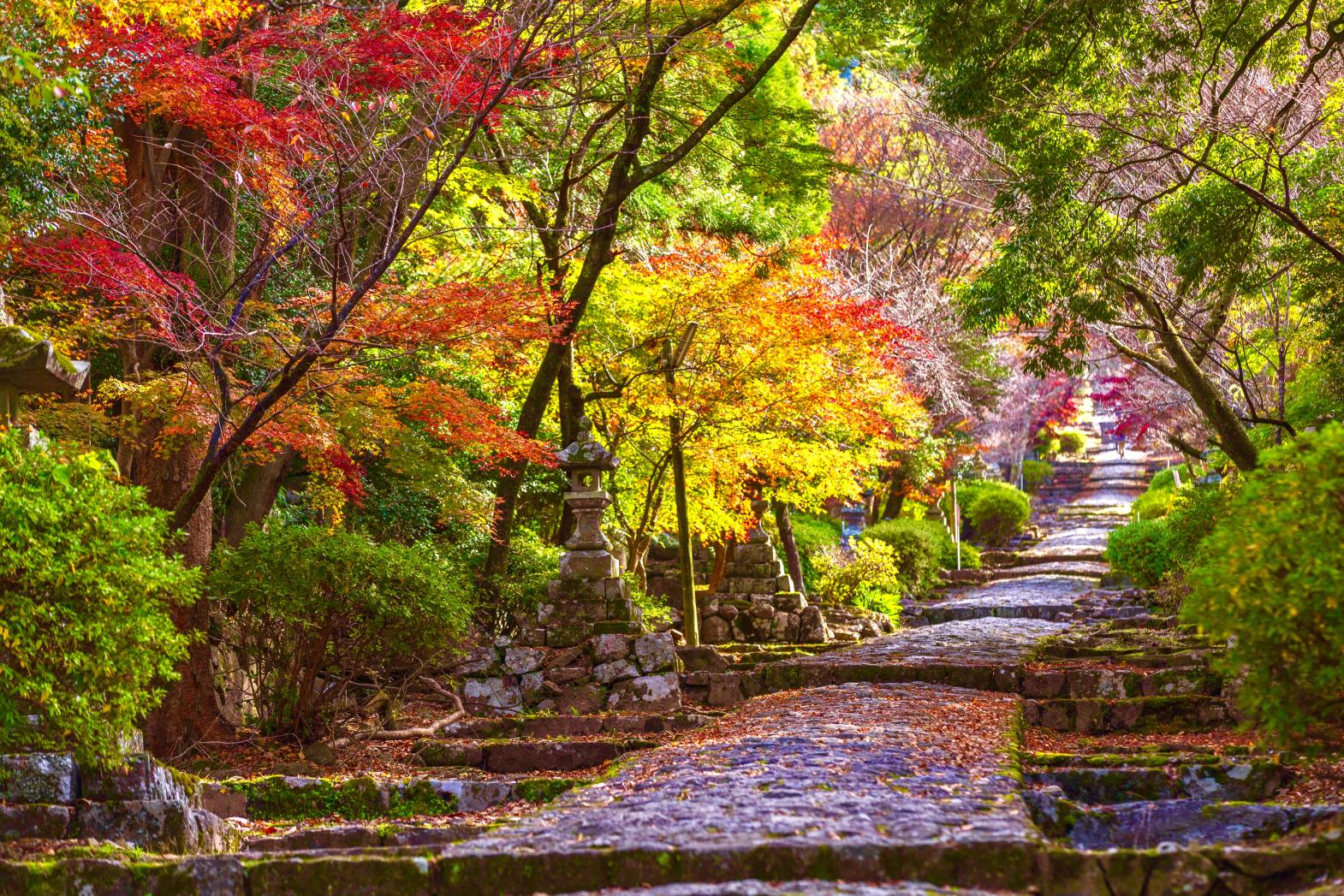 Road approaching Hikosan Shrine-0