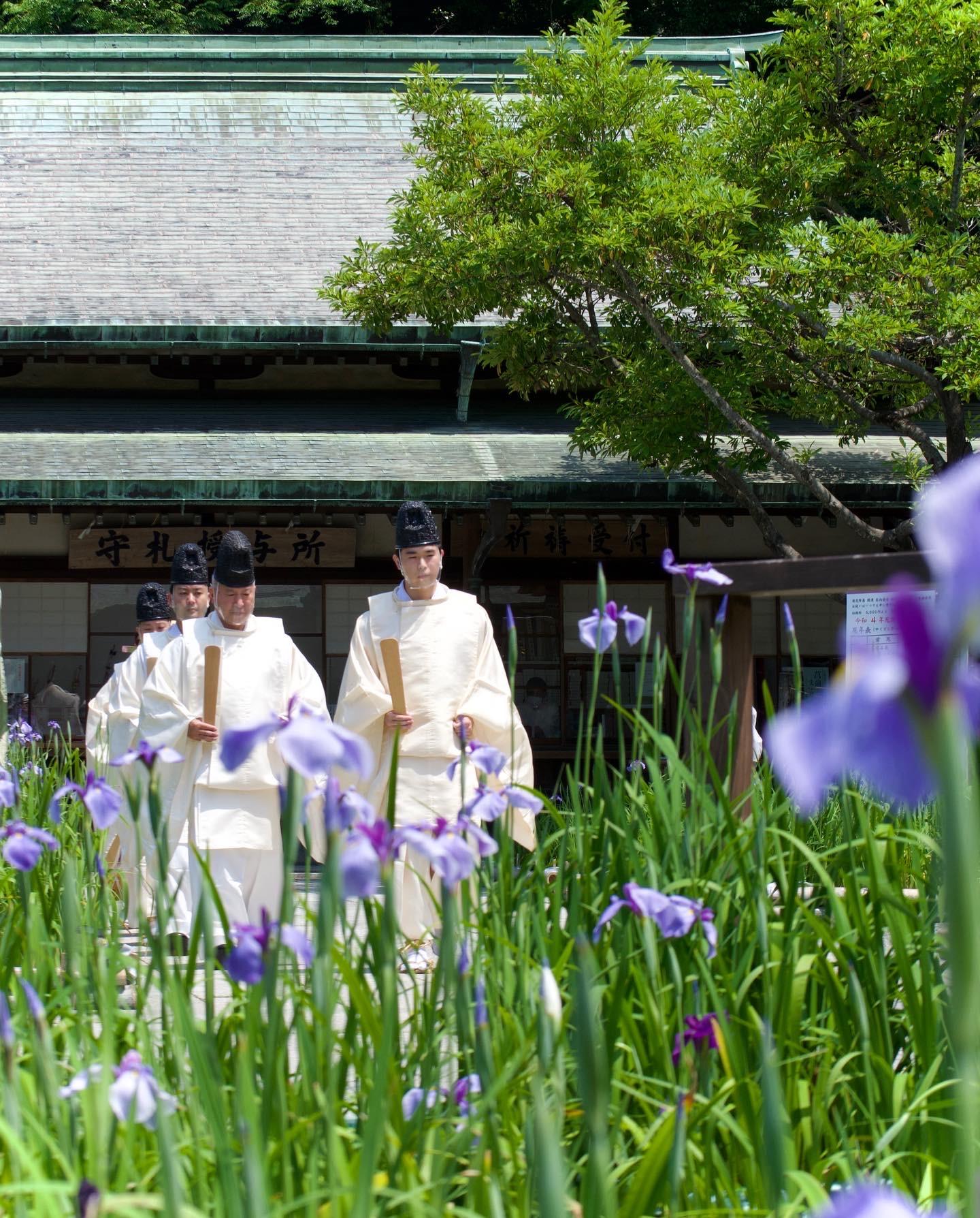 Shinto ritual for the first harvesting of iris in Emichi-1