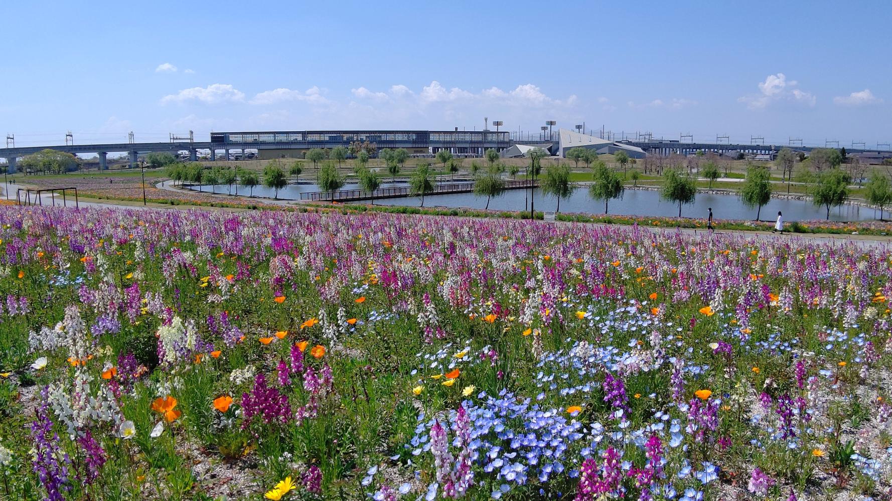 福岡県営筑後広域公園